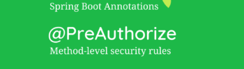 @PreAuthorize annotation